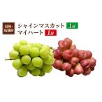 ふるさと納税 ぶどう シャインマスカット 1房 マイハート 1房 葡萄 ブドウ フルーツ 果物 デザート おやつ 信州 長野 坂城町 長野県坂城町