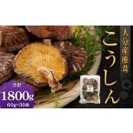 大分産椎茸こうしん 約1800g