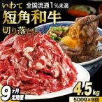 \9ヶ月連続 定期便 切り落とし 赤身 肉 牛肉