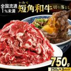 切り落とし 赤身 肉 牛肉 いわて 短角和牛 750g