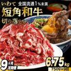\9ヶ月連続 定期便 切り落とし 赤身 肉 牛肉