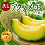 メロン 訳あり 通年発送 アクアメロン