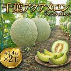 メロン 通年発送 アクアメロン