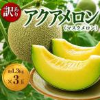 メロン 訳あり 通年発送 アクア