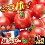 フルーツトマト 越のルビー 1kg