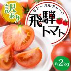 飛騨トマト 約1.8kg