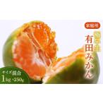 極早生有田みかん1kg+250g 傷み補償分