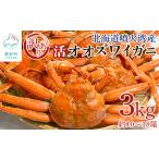 ふるさと納税 【訳あり】北海道産 活オオズワイガニ 3kg 約10〜18尾 かに 蟹 ずわい蟹 北海道鹿部町