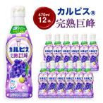 カルピス R 完熟巨峰 プラスチックボトル 470ml×12本_飲料