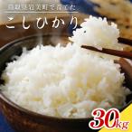令和7年産岩美のコシヒカリ 30kg