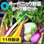 冬のオーガニック野菜セット 有機野菜6~7種前後