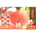 ご 和歌山の桃 約2kg