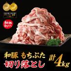 和豚もちぶた 切り落し 4kgセット 400g×10パック