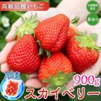 生産農家直送高級品種☆無選別訳あり 冷凍