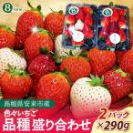 色々苺 品種盛り合わせパック 品種かわかるメモ付