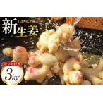 fu.... налог BI381 остров . 100 год сырой . новая жизнь .3kg [ Nagasaki префектура остров . город ] Nagasaki префектура остров . город 