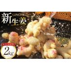 fu.... налог BI380 остров . 100 год сырой . новая жизнь .2kg [ Nagasaki префектура остров . город ] Nagasaki префектура остров . город 