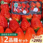 イチゴ2品種 2パックセット
