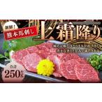 ふるさと納税 熊本 馬刺し 上霜降り 約250g (約50g×5) 馬刺 馬肉 馬 霜降り 熊本県水俣市