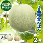 令和9年産 Ton de メロン 2品種食べ比べ♪