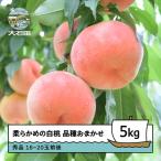桃 もも 柔らかめの白桃 品種おまかせ 5kg