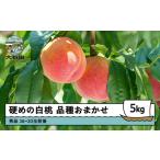 ふるさと納税 【先行予約】 桃 もも 硬めの白桃 品種おまかせ 5kg 山形県産 2026年産 令和8年産 フルーツ 果実 送料無料 ry-mohth5000 山形県大石田町