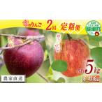 旬のりんご 秀 特秀 5kg