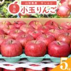 令和8年産 小玉りんご サンふじ 5kg