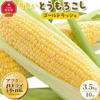黄色いとうもろこし ゴールドラッシュ 3.5kg