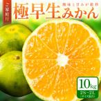 ゆら早生みかん 紀州和歌山 ご 10kg