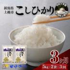 コシヒカリ 5kg×2