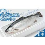 fu.... налог salmon { отправка период 5 месяц ~7 месяц } три суша . еще Голландия остров salmon × 1 шт. Iwate префектура гора рисовое поле блок 