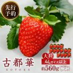 完熟 古都華 奈良ブランドいちご4Lサイズ以上2パック