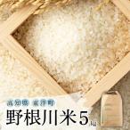 令和7年産 野根川米 5kg