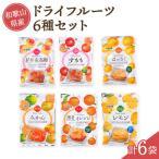 ドライフルーツ 6種類セット