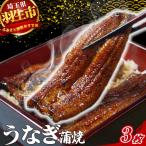 うなぎ 鰻 蒲焼 3枚