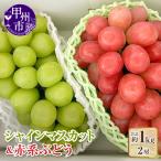 シャインマスカット&赤系ぶどう 各1房