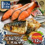 魚鶴自慢ののお魚全12回定期便_G60-T88