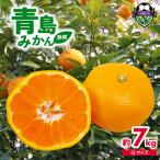 青島みかん 3L