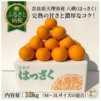 八朔10kgご _果物 フルーツ 柑橘