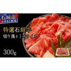 切り落としスライス300g IM-34