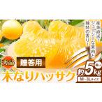 八朔 ハッサク 約5kg