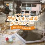 寸止め温泉ガイド付きツアー ペア参加 送迎付き