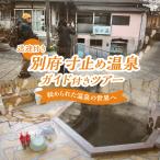 寸止め温泉ガイド付きツアー 送迎付き _B184-003