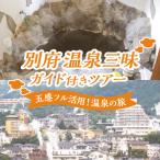 温泉三昧ガイド付きツアー ペア参加 _B184-006