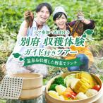 収穫体験ガイド付きツアー ペア参加 送迎付き