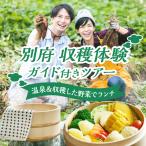 収穫体験ガイド付きツアー ペア参加 _B184-010