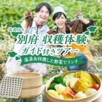 収穫体験ガイド付きツアー 送迎付き _B184-011