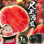 スイカ尺玉西瓜 1玉