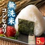 令和7年産 コシヒカリ 5kg